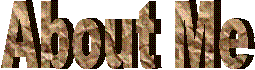 Professional Background